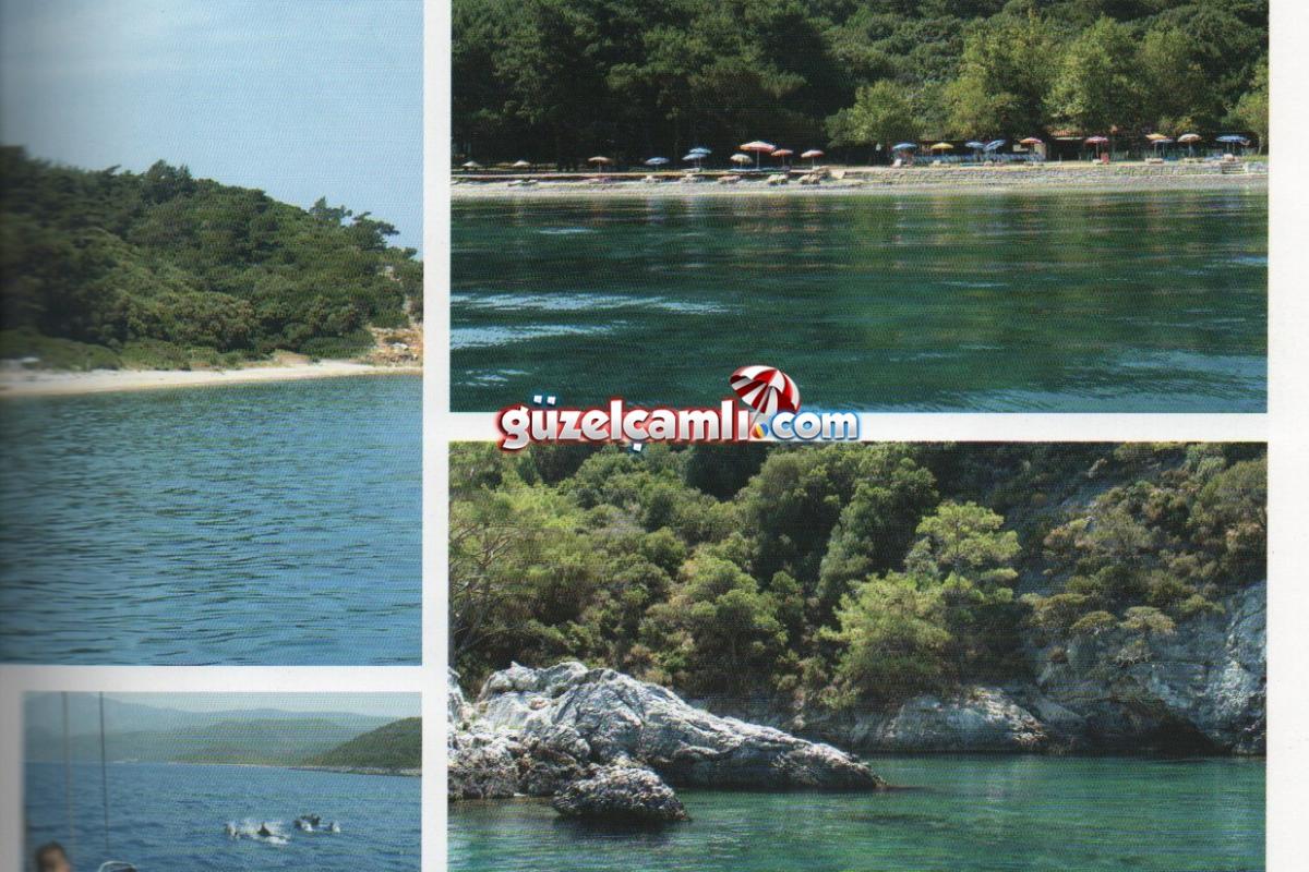 Guzelcamli11